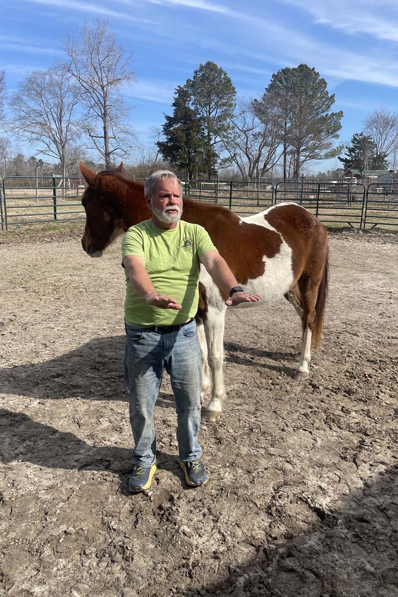 Horse therapy for foster children